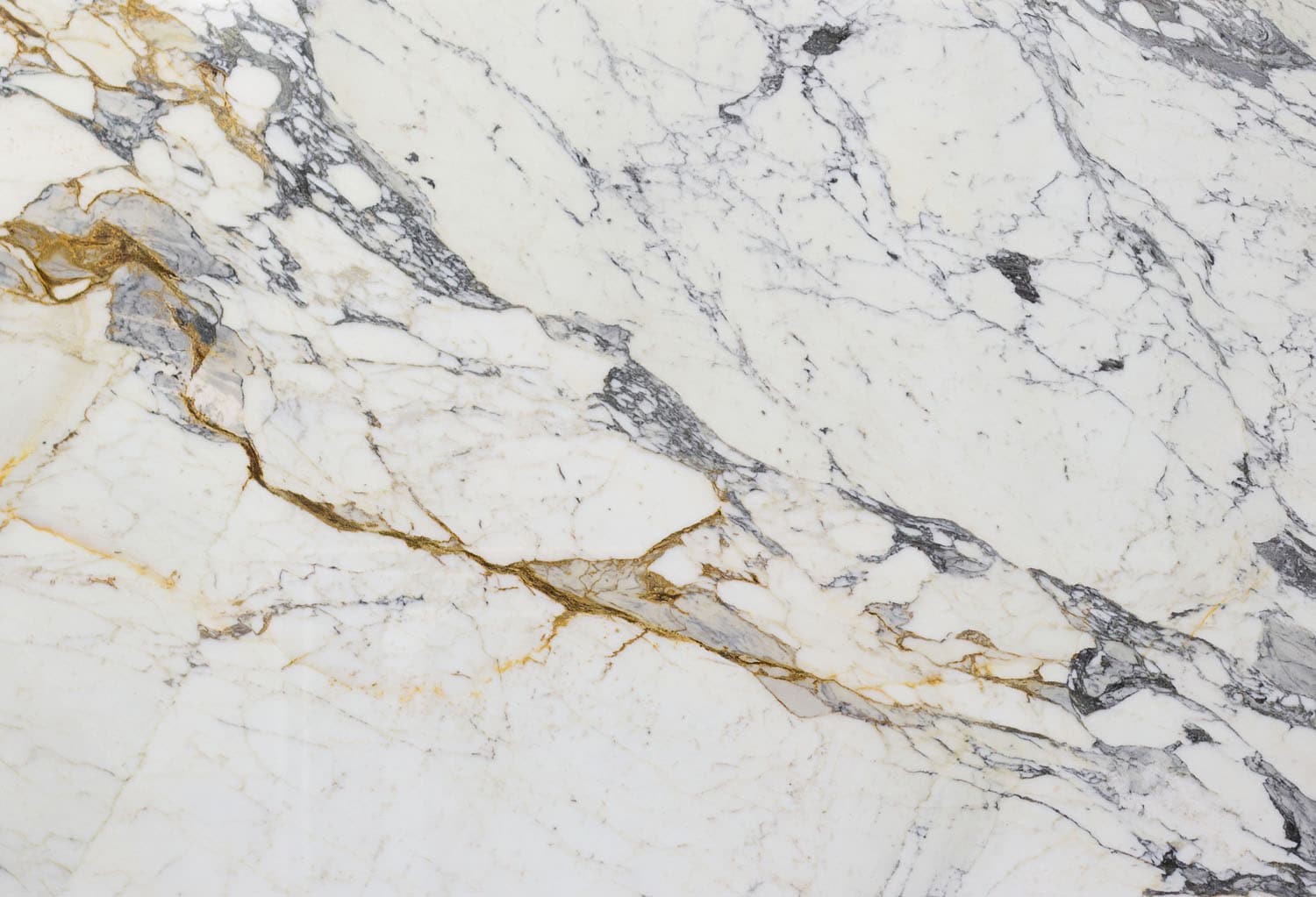 Arabescato Corchia marble with grey and warm gold veining